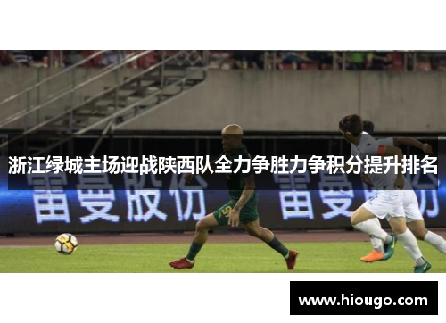 浙江绿城主场迎战陕西队全力争胜力争积分提升排名