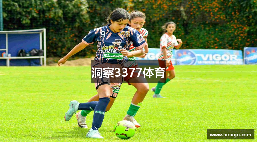 洞察3377体育